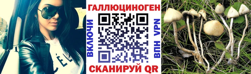 МЕГА ссылки где купить Завитинск Галлюциногенные грибы MAGIC MUSHROOMS